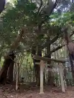 鷲神社(千葉県)