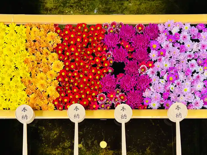 土津神社|こどもと出世の神さまの手水舎