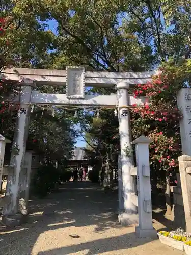 大井神社の鳥居