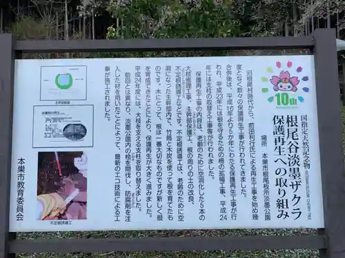 淡墨観音の歴史