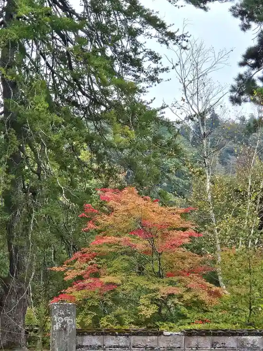 円蔵寺(福島県)