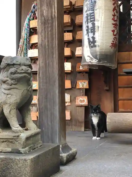 道祖神社の動物