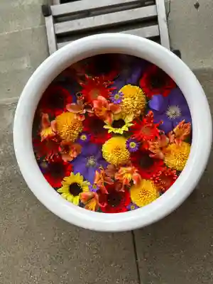 徳島眉山天神社(徳島県)