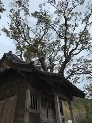 山神社の自然
