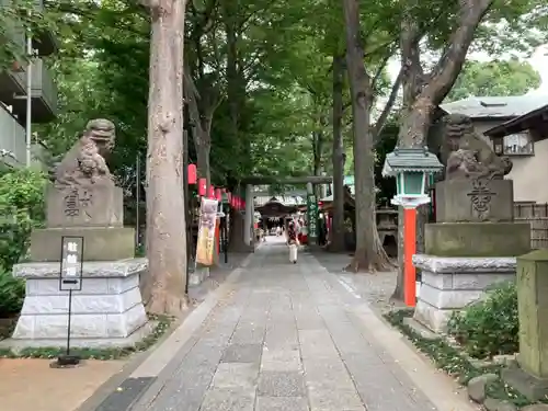 田無神社の狛犬