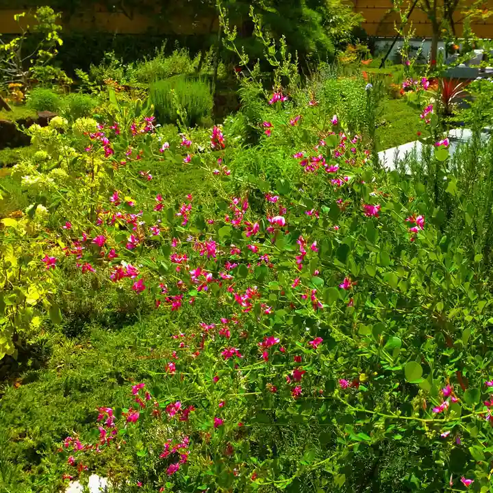 寿量山 速成寺の自然