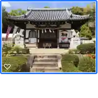 壺井八幡宮の本殿・本堂