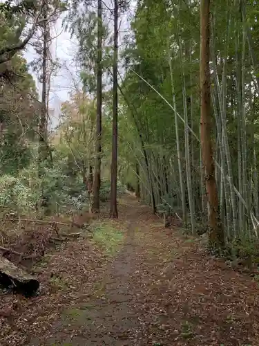 小鷹神社の景色