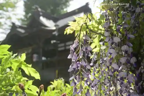 滝野川八幡神社(東京都)