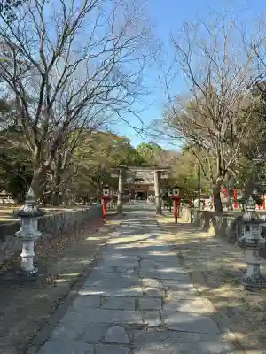 深江神社の{uncategorized: "未分類", other: "その他", undefined: "問題あり", building: "その他建物", grave: "お墓", sacred_gate: "鳥居", guardian: "狛犬", statue: "像", buddha: "仏像", history: "歴史", nature: "自然", garden: "庭園", animal: "動物", pagoda: "塔", temizu: "手水舎", mountain_gate: "山門・神門", sanctuary: "本殿・本堂", subordinate: "末社・摂社", art: "芸術", scenery: "景色", jizo: "地蔵", ema: "絵馬", goshuin: "御朱印", omikuji: "おみくじ", items: "授与品その他", amulet: "お守り", goshuincho: "御朱印帳", eats: "食事", festival: "お祭り", votive_dance: "神楽", shichigosan: "七五三参", wedding: "結婚式", experience: "体験その他", initially: "初詣", around: "周辺", anti_infection: "感染症対策"}