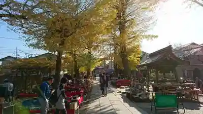 八坂神社のお祭り