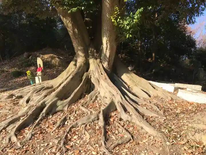縁華山 有縁寺(三重県)