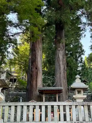 大宮諏訪神社(長野県)