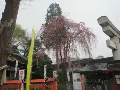川越八幡宮(埼玉県)