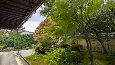 興臨院(京都府)