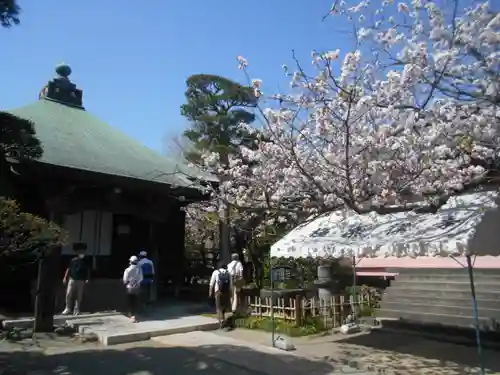極楽寺（霊鷲山感應院極楽律寺）の自然
