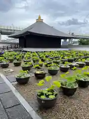 喜光寺(奈良県)