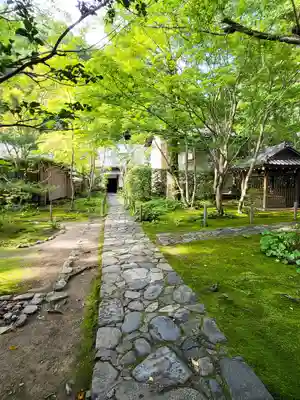 蓮華寺（洛北蓮華寺）の庭園