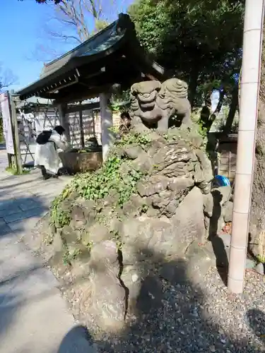 菊田神社の狛犬