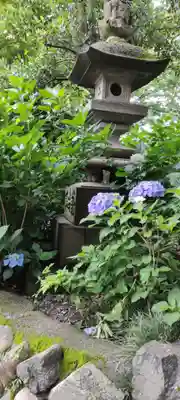 高幡不動尊　金剛寺(東京都)