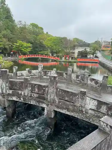 富士山本宮浅間大社(静岡県)