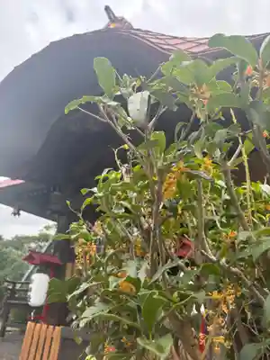 大鏑神社(福島県)