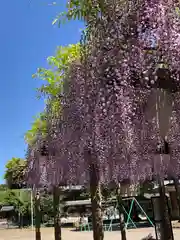 日吉神社の庭園