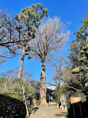 無量寺(東京都)