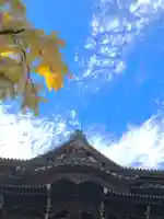西念寺(茨城県)