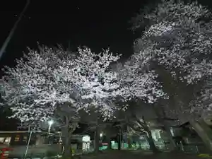 蓮久寺(千葉県)(2023年03月25日(土) 23時17分01秒投稿)