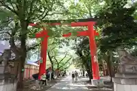花園神社のお祭り