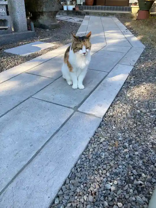 長楽寺(栃木県)