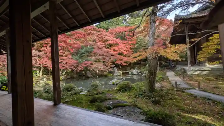 蓮華寺(洛北蓮華寺)(京都府)