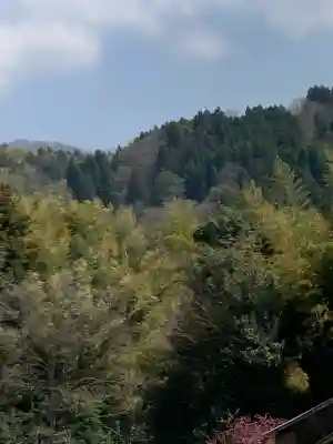 須我神社奥宮の{uncategorized: "未分類", other: "その他", undefined: "問題あり", building: "その他建物", grave: "お墓", sacred_gate: "鳥居", guardian: "狛犬", statue: "像", buddha: "仏像", history: "歴史", nature: "自然", garden: "庭園", animal: "動物", pagoda: "塔", temizu: "手水舎", mountain_gate: "山門・神門", sanctuary: "本殿・本堂", subordinate: "末社・摂社", art: "芸術", scenery: "景色", jizo: "地蔵", ema: "絵馬", goshuin: "御朱印", omikuji: "おみくじ", items: "授与品その他", amulet: "お守り", goshuincho: "御朱印帳", eats: "食事", festival: "お祭り", votive_dance: "神楽", shichigosan: "七五三参", wedding: "結婚式", experience: "体験その他", initially: "初詣", around: "周辺", anti_infection: "感染症対策"}