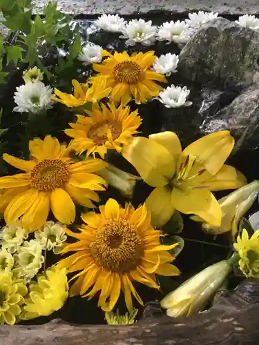 札幌護國神社の手水舎