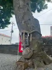 須賀神社(宮城県)