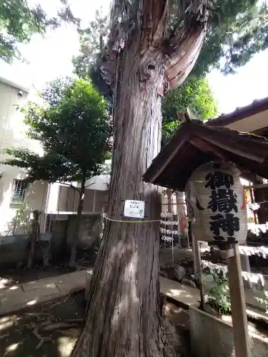 御嶽神社の自然
