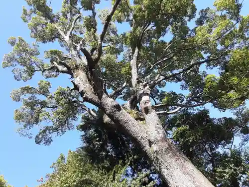 居神神社(神奈川県)
