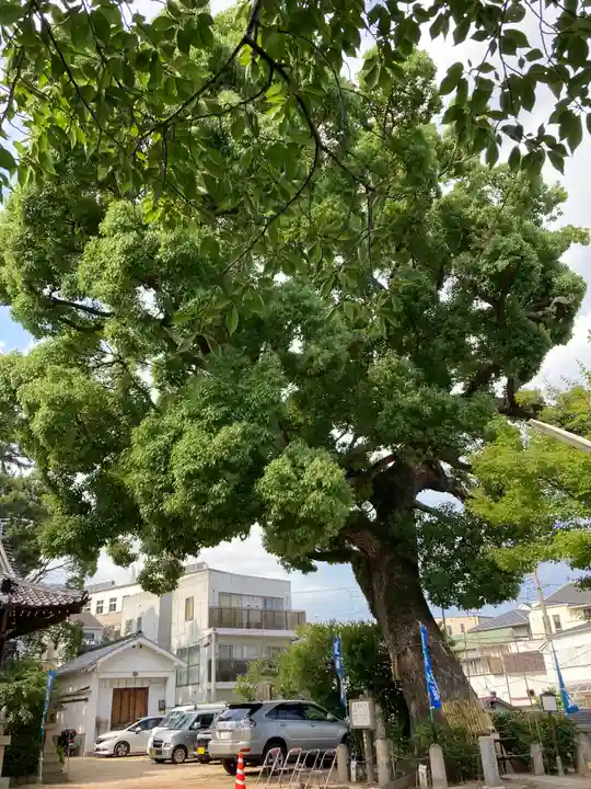 丹生神社の自然