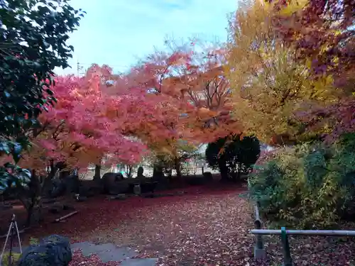 長泉院(埼玉県)
