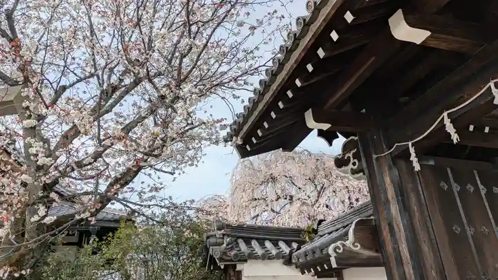 本満寺(本願満足寺)(京都府)
