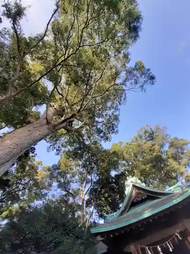 酒門神社(茨城県)