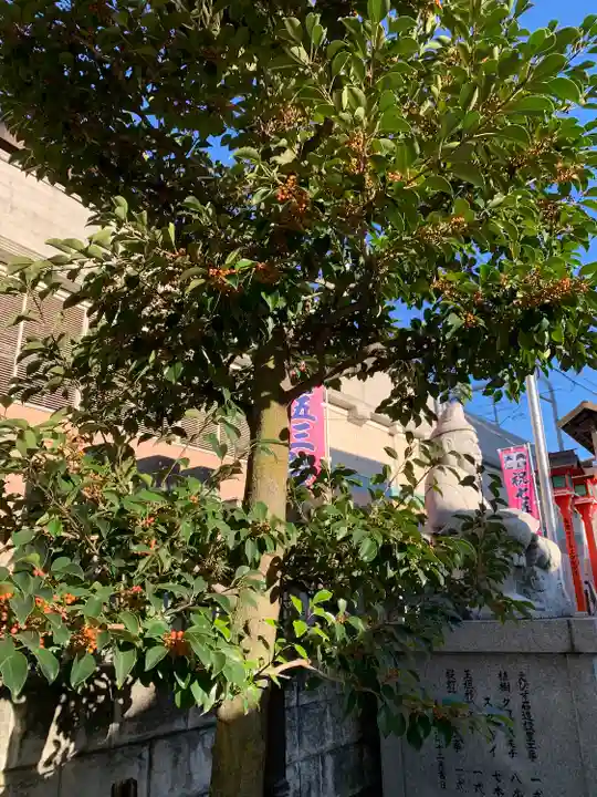 住吉神社(大阪府)