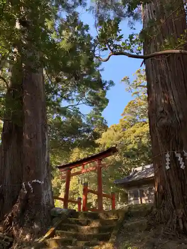 日枝神社の鳥居