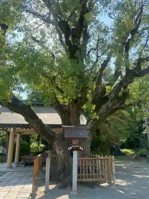 和泉國一之宮　大鳥大社(大阪府)