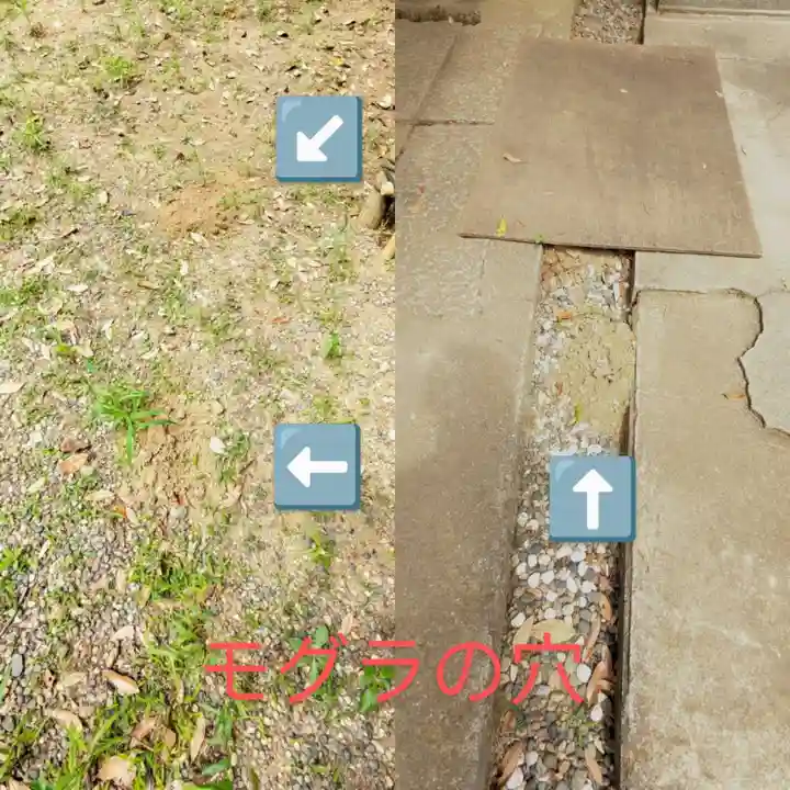 畑子安神社の自然