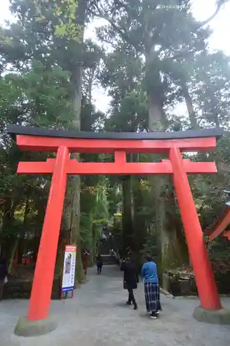 箱根神社(神奈川県)