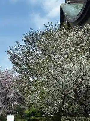 総持寺の{uncategorized: "未分類", other: "その他", undefined: "問題あり", building: "その他建物", grave: "お墓", sacred_gate: "鳥居", guardian: "狛犬", statue: "像", buddha: "仏像", history: "歴史", nature: "自然", garden: "庭園", animal: "動物", pagoda: "塔", temizu: "手水舎", mountain_gate: "山門・神門", sanctuary: "本殿・本堂", subordinate: "末社・摂社", art: "芸術", scenery: "景色", jizo: "地蔵", ema: "絵馬", goshuin: "御朱印", omikuji: "おみくじ", items: "授与品その他", amulet: "お守り", goshuincho: "御朱印帳", eats: "食事", festival: "お祭り", votive_dance: "神楽", shichigosan: "七五三参", wedding: "結婚式", experience: "体験その他", initially: "初詣", around: "周辺", anti_infection: "感染症対策"}