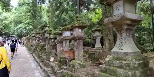 春日大社(奈良県)