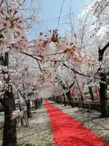 菊池神社の自然